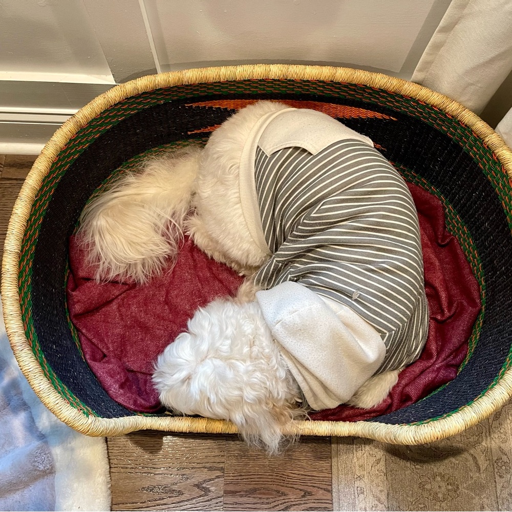 Dog bed - Picture 5 of 5